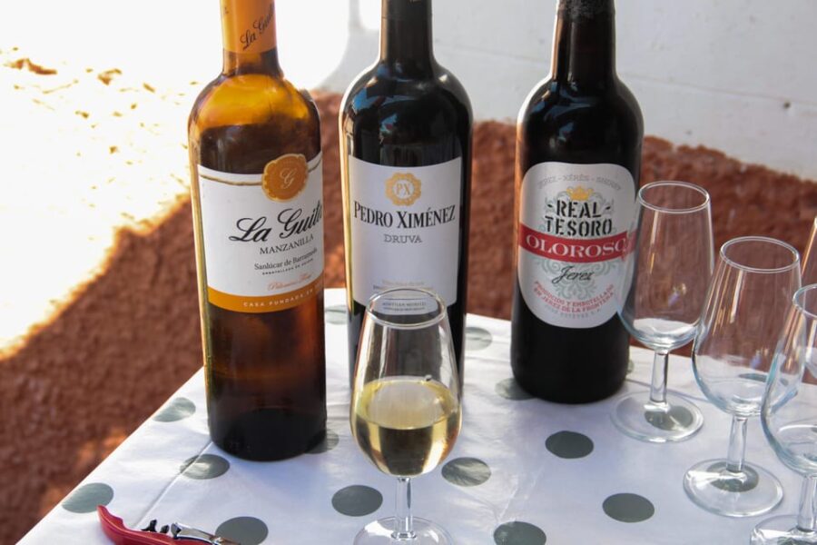 Seville: Tour, Class, Traditional Food and Exciting Flamenco Show - Overview and Pricing