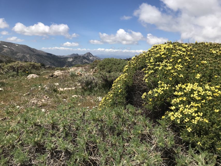 Sierra Nevada: Hike to 3000 Meters (Snowshoeing in Winter)