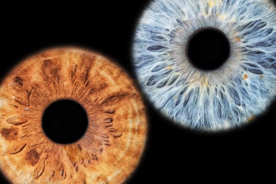 Siracusa Iris Photography Experience - Exploring the Siracusa Iris Photography Experience