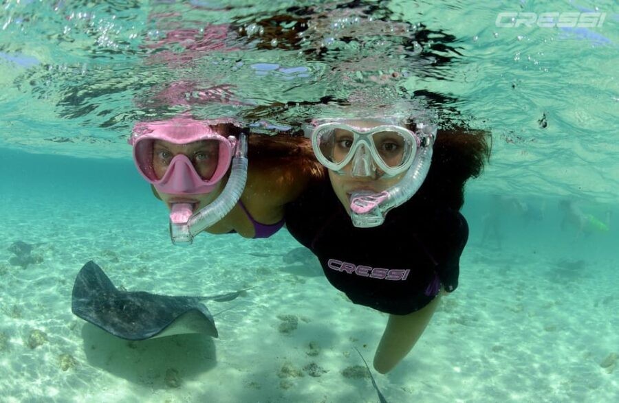 Snorkel Tour Why Not?