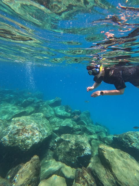 Snorkeling Boat Trip in Marine Turtles Natural Habitat