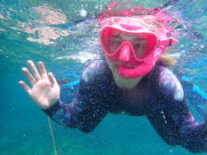 Snorkeling Guided Tours for Tha All Family!