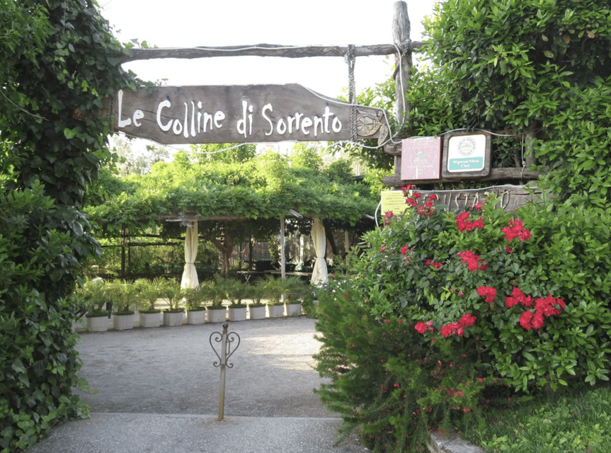 Sorrento: Lemon Garden Guided Tour With Tastings