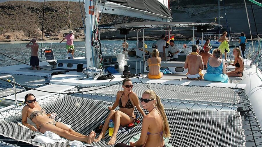 Tenerife: Catamaran Cruise With an Open Bar - Overview of the Catamaran Cruise
