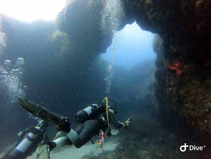 Tenerife - Discover Scuba Diving Experience With Instructor - Tenerifes Stunning Underwater World