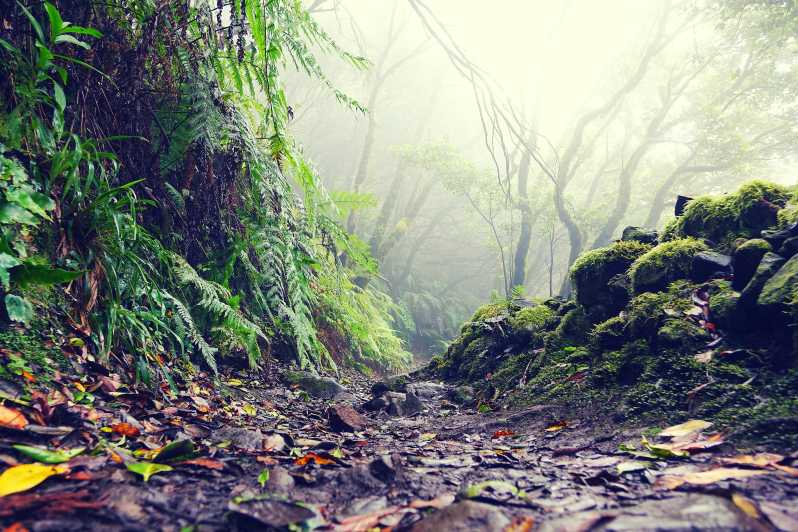 Tenerife: La Laguna & Anaga Hike