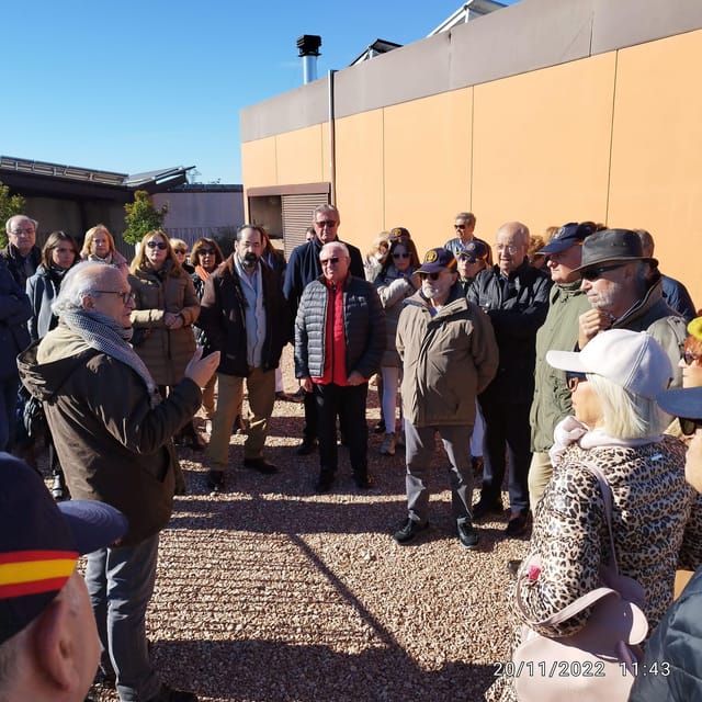 Valencia: Vineyard Tour With Local Wine Tasting & Appetizer