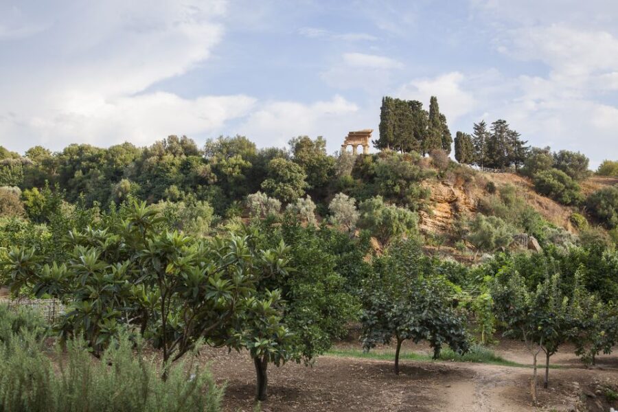 Valley of the Temples: Kolymbethra Garden Entry Ticket