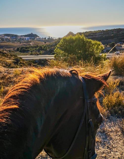 Villajoyosa: 2-hour Horseback Riding Tour
