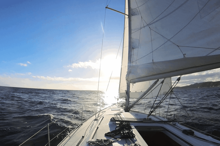 Denia: Sunset Electric Sailboat Cruise With Dolphin Spotting
