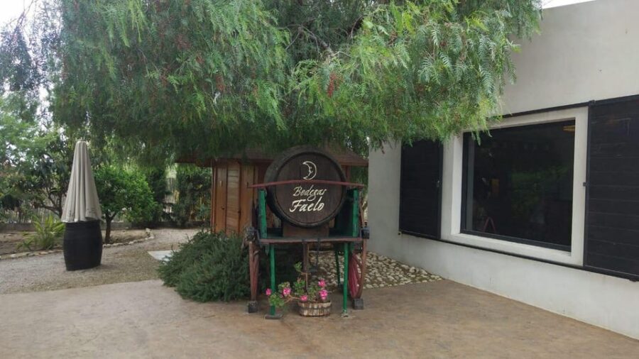 From Alicante: Best Winery Tour and Wine Tasting