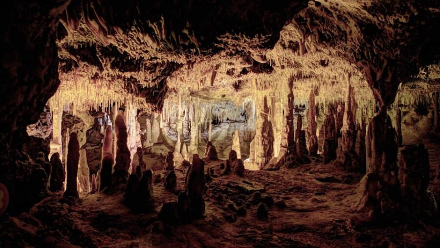 Mallorca: Drach Caves, Lake Martel, & Pearl Factory Day Trip - Tour Overview and Pricing