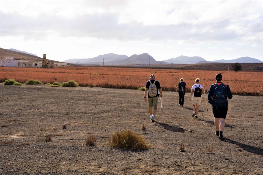 Fuerteventura: Volcanic Hike to the Crater Edge