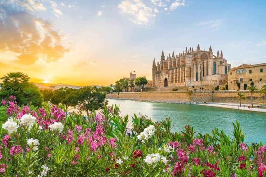 Full Day Private Shore Tour in Palma De Mallorca From Port