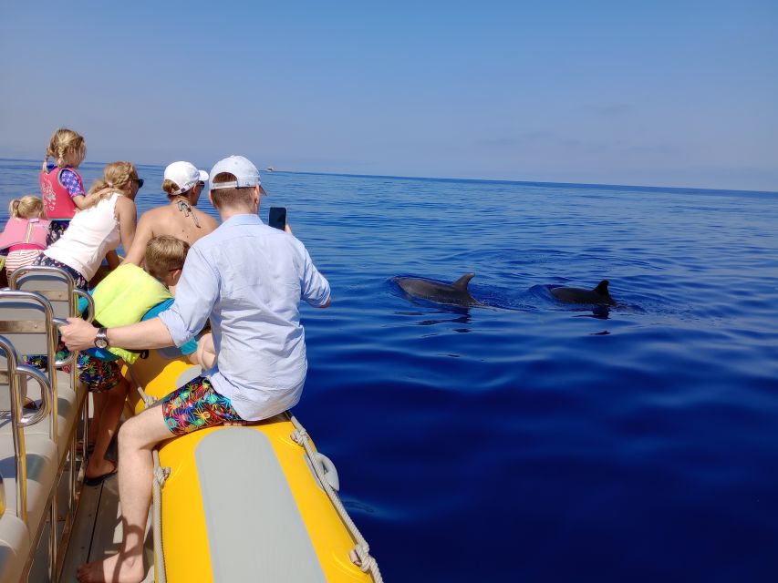 Can Picafort: Dolphin Watching Boat Tour With Swimming