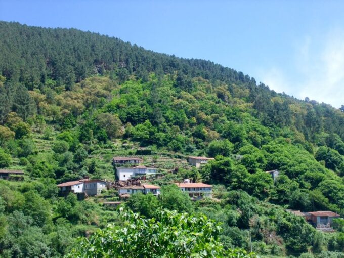 ✅From Santiago: Ribeira Sacra & Sil River Canyon Boat Tour - Positive Traveler Reviews and Feedback