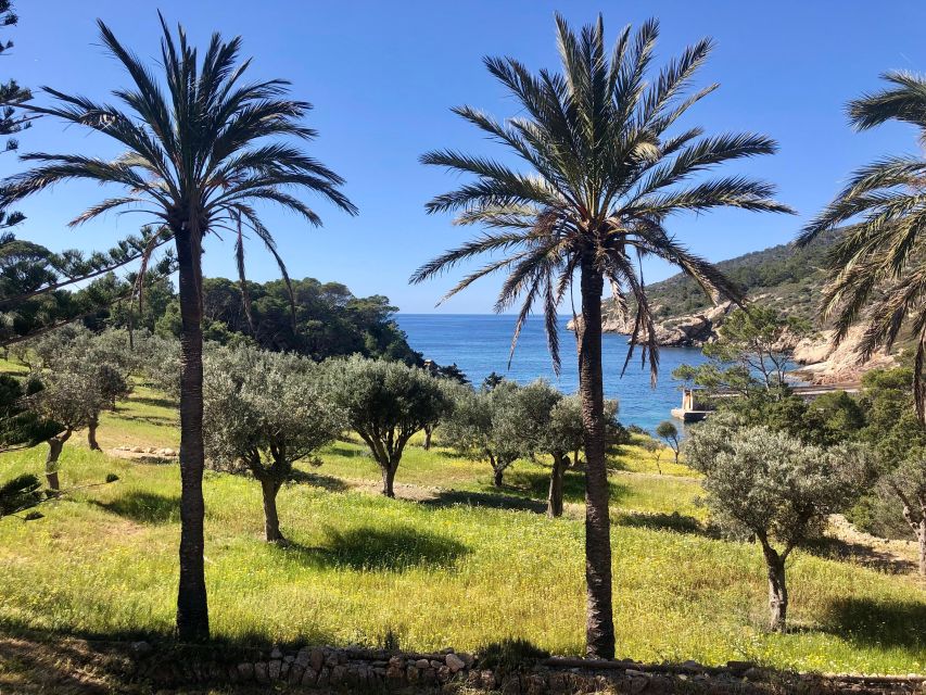 Mallorca: Explore the Island of Dragonera With the Kayak