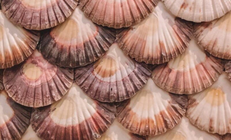 ✅From A Coruña to Rías Baixas: Unforgettable Coastal Wonders - Exploring Combarros Fishing Village