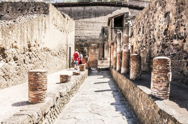 Ercolano: Herculaneum Entry Ticket With Optional Audio Guide - Key Points
