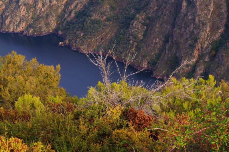 ✅From Santiago: Ribeira Sacra & Sil River Canyon Boat Tour - Key Points