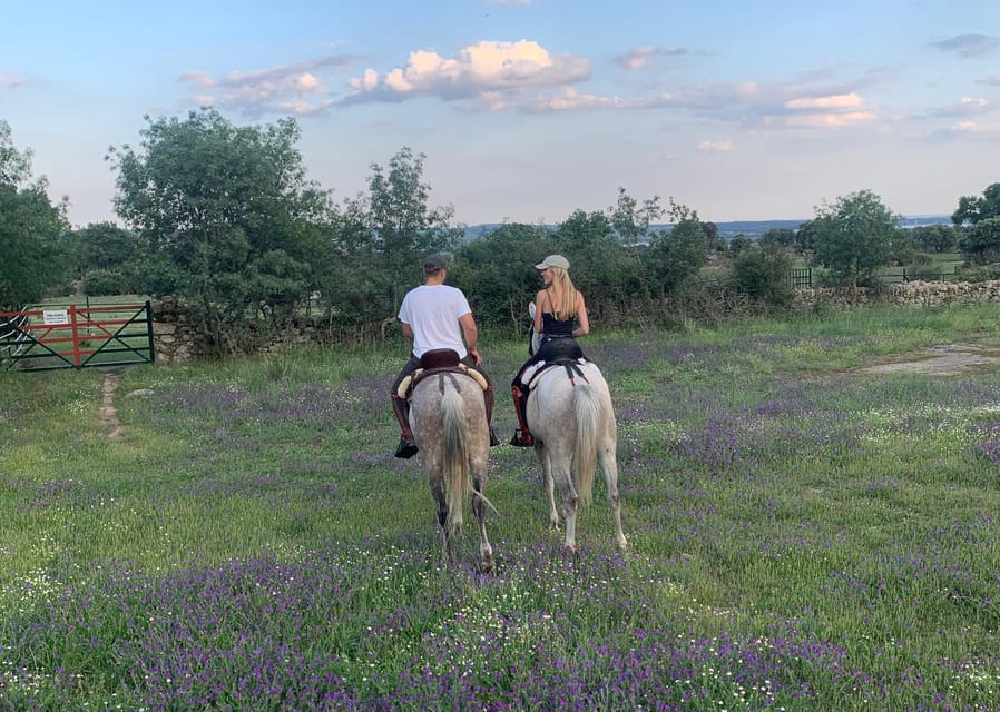 From Madrid: Horseback Riding Experience