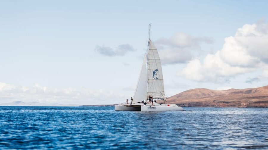 Lanzarote Sunset Experience With Dolphin Spotting