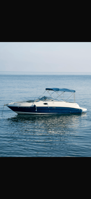 Marbella: Puerto Banus Boat Trip With Dolphin Watching