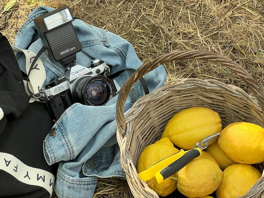 Sorrento: Lemon Picking Adventure