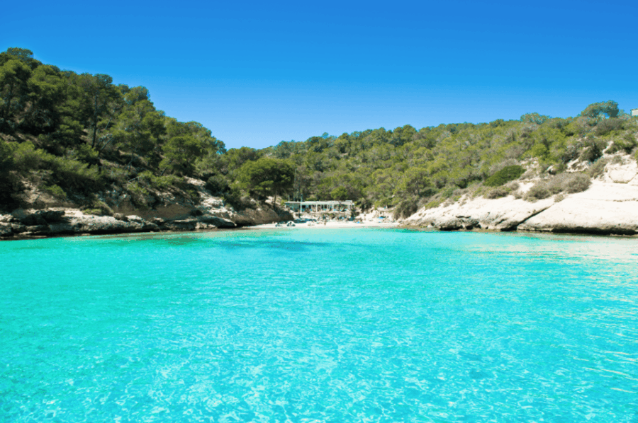 SUP & Snorkel Experience: Beach / Cave of Portal Vells
