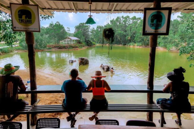 Phuket: Elephant Sanctuary Tour With Pickup & Optional Lunch - Thai Cooking Class and Lunch