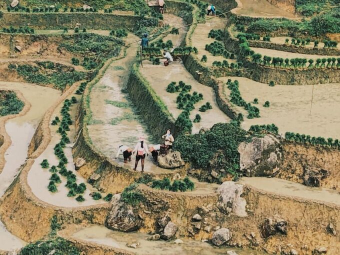 Visit Villages, Terrace Rice Field With Easy Riders Half Day - Participant Feedback and Ratings