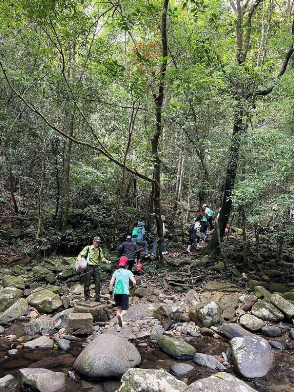 Bach Ma National Park Full-Day Group Tour From Hue City - Itinerary and Highlights