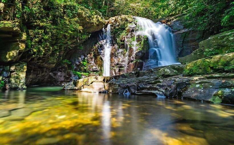 Bach Ma National Park Trekking Tour : Hoi An / Da Nang / Hue