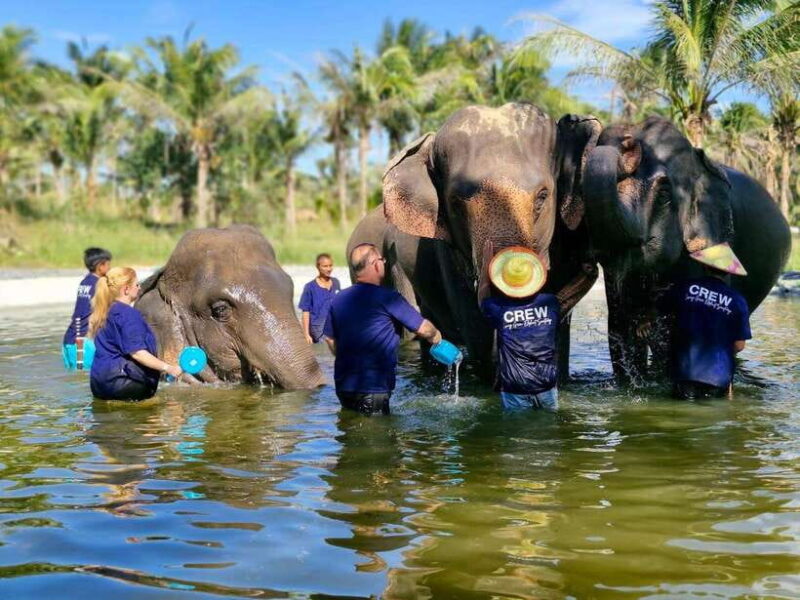Bangkok: Elephant Sanctuary and Khao Kheow Open Zoo Tour - Overview of the Tour