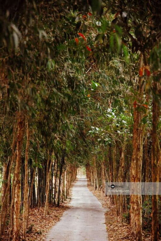 Can Tho: Lung Ngoc Hoang Nature Reserve & Forest Tour - Transportation and Inclusions