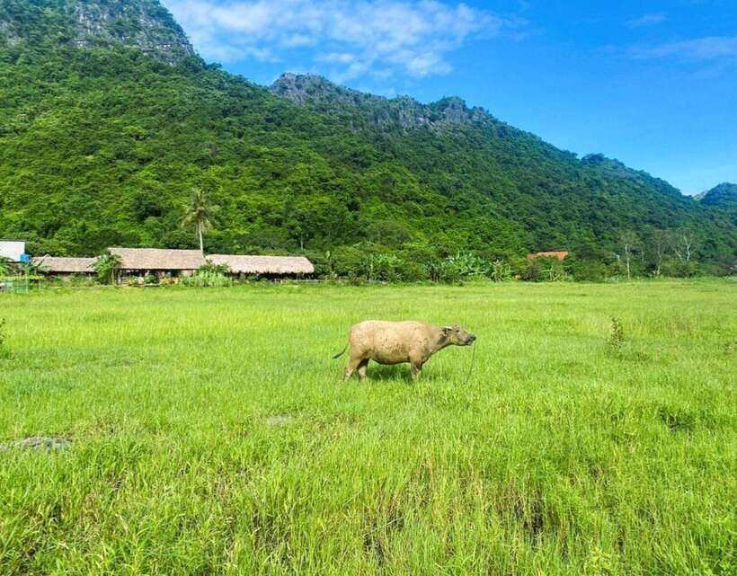 Cat Ba Island-Lan Ha Bay Day Trip: Kayaking, Swimming,Biking