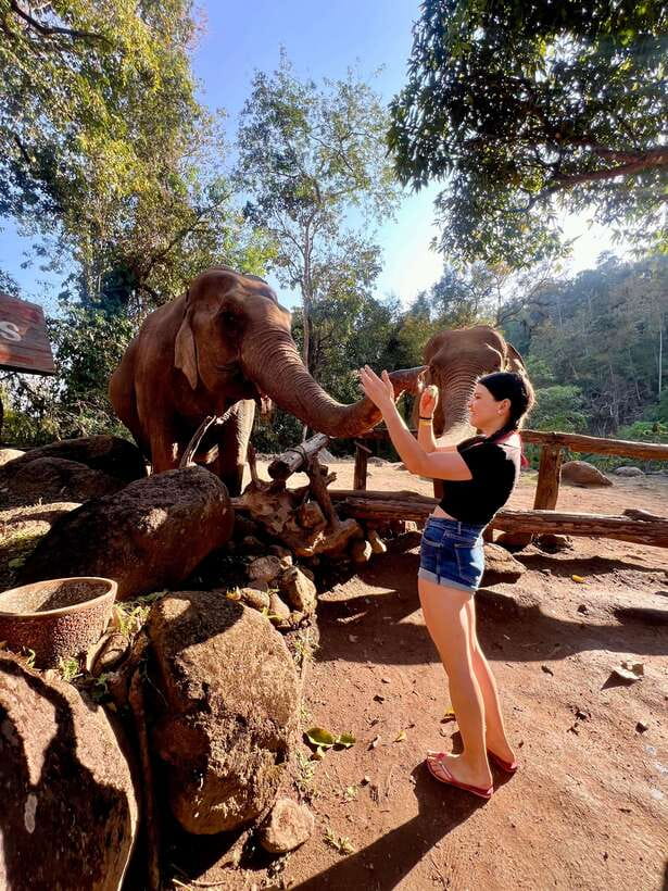 Chiang Mai 2-Day Adventure: Trekking, Tubing & Waterfalls - Overview and Pricing