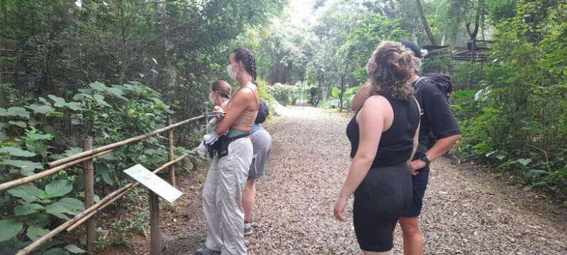Cuc Phuong National Park Hiking Tour - Highlights of the Hiking Tour