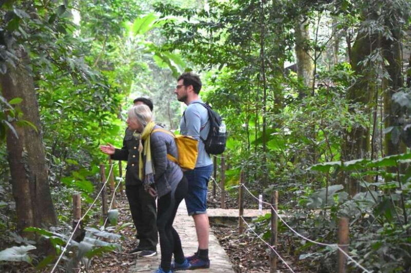 Cuc Phuong National Park Trekking Day Tour From Ninh Binh - Key Points