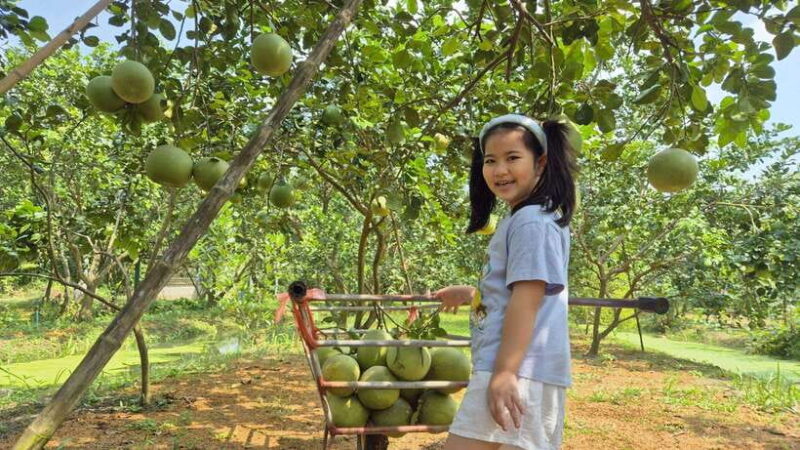 From Bangkok: Taste and Tune of Samut Songkhram Private Tour - Highlights and Experiences