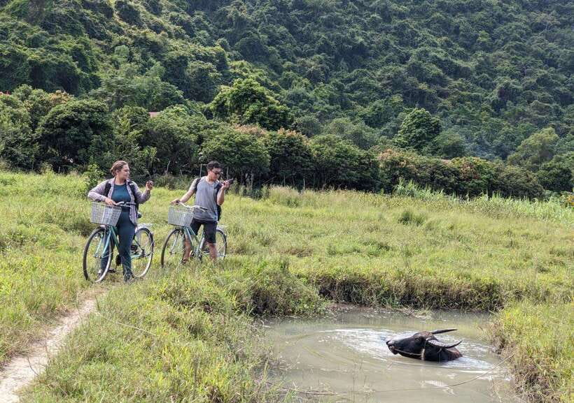 From Cat Ba: Lan Ha Bay Day Trip With Kayaking, Biking& Meal