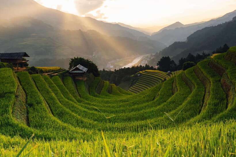 From Hanoi: 1-day Sapa Trekking Tour With Overnight Bus - Overview of the Sapa Trekking Tour