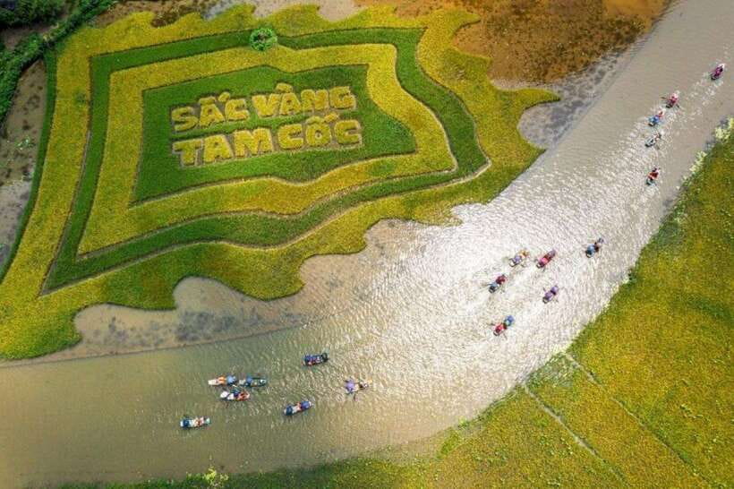 From Hanoi: Tam Coc Boat Trip and Hoa Lu & Mua Cave Tour