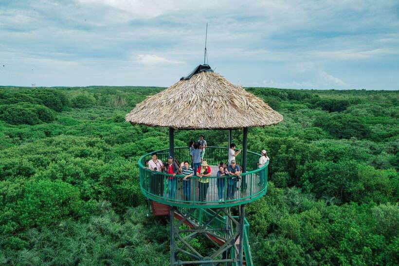 From Ho Chi Minh City: Can Gio Mangrove Forest Day Tour