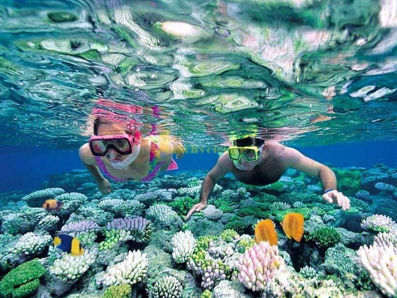 From Nha Trang: 3-Island Deluxe Tour With Lunch