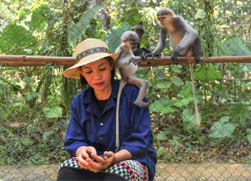 FromNinh Binh: Cuc Phuong-Van Long-Jeep Tours – Small Groups