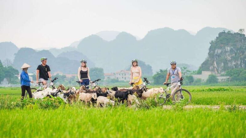 Hanoi: Ninh Binh - Halong on Land: Hoa Lu, Tam Coc, Mua Cave - Itinerary Highlights