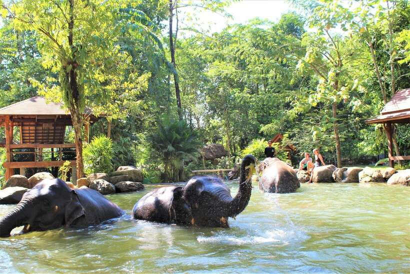 Khao Lak: Ethical Elephant Sanctuary Experience