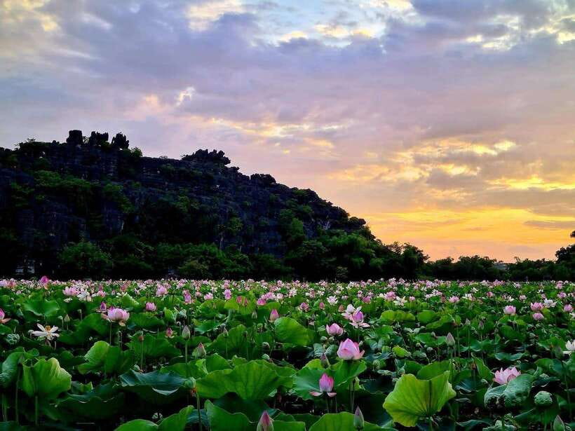 Ninh Binh: Hoa Lu- Trang An- Mua Cave Small Group Daily Tour