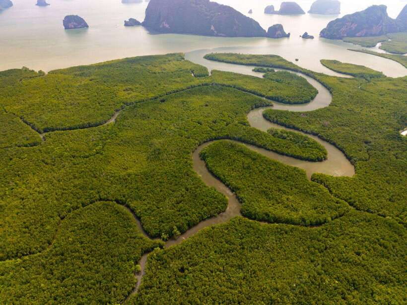 Phuket : Samet Nangshe and Cheow Lan Lake Adventure Day Tour